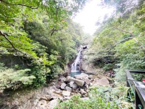 国頭村やんばるの森ガイド 比地大滝ツアー