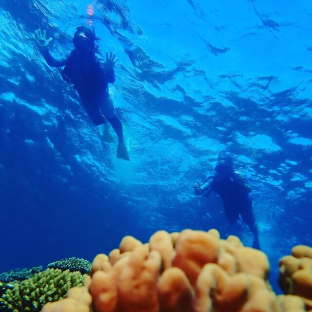 2023年9月10日（日）オクマ🏨にご宿泊のご夫婦が遊びに来てくれました‼️珊瑚やお魚が、たくさん見れたでしょうか😉誰もいない広い海を堪能できたかな✨ビーチシュノーケリングも、綺麗ですよ😉また機会がございましたらぜひ遊びに来てください‼️ありがとうございました🌻✨

【ファミリー・グループ】ボートシュノーケリング🐠✨✨｜世界自然遺産登録＆やんばる国立公園に指定された沖縄本島北部オクマで熱帯魚と一緒に泳ごう‼️ボートに乗ってシュノーケリングポイントへ✨✨※2名様より催行
https://okuma-navi.net/snorkeling/#snorkeling_1

🌺おきなわ彩発見NEXT利用可能（紙・アプリOK）
https://okinawasaihakkennext.com

#ボートシュノーケリング
#シュノーケリング
#シュノーケル
#ボート

🌻やんばる国立公園に指定された沖縄本島最北端の国頭村（くにがみそん）奥間（おくま）を中心に、亜熱帯の森やんばるの大自然の魅力を感じていただけるようなマリンアクティビティ・エコツアー、もの作りなど様々なメニューを用意しています。

📸✨全ツアー写真撮影無料
ツアー終了後、後日ファイル転送サービスにて写真をお送りしております📩また、撮影させて頂いたお写真やその他の沖縄でのお好きな写真をエコバッグやTシャツにショップでプリント💖1枚あたり約10分で作れますよ🌈思い出をそのままお持ち帰りください😉割引あり✨
🛒https://okinawa-photogoods.net/

🌴ショップインフォメーション
遠方から来られるお客様も安心してご参加頂けます。ウェットスーツ等のレンタルも無料ですので、持ち物は水着と着替えがあれば手ぶらでオッケーです👌
・受付施設　・更衣室　・シャワー（シャンプー、リンス、ボディーソープ完備）　・タオル　・トイレ　・無料駐車場

🐠✨詳しくはトップ画面のホームページからご覧ください❣️また、各ツアーページにある【体験のお申し込みはコチラ】よりご予約をお願い致します✨空き状況等を確認後、ご予約確認メールをお送りしております😊ご不明な点がございましたらお気軽にご連絡ください。

🥩🍻オクマナビ
炭焼きBBQ🍖 CAFE🍧 居酒屋🍺✨

釣った魚を食べたい🐟とういうお客様の声にお答えし飲食店をオープン🥳アグーしゃぶしゃぶや牛もつ鍋、沖縄料理も多数ご用意‼️バーベキューガーデンやウッドデッキにてお食事が可能です🍻沖縄ならではの島野菜やお肉等、お客様に喜んでいただけるようなメニューをご提供しております😆新年会、忘年会、イベント、パーティーなどの貸し切りプランも承ります👌
https://okumanavi-cafe.net

🏝#スタッフ募集 
マリンアクティビティ、エコツアーのインストラクター、ガイドの常勤又は単発アルバイト✨ご興味がございましたら、ご予約の上、一度ショップにお越し頂ければ幸いです✨一緒に楽しんでお客様とゆんたくしていだだけるスタッフを募集中です😊
https://okuma-navi.net/employment_offers/

#沖縄 #沖縄旅行 #沖縄観光 #沖縄大好き #沖縄北部 #国頭村 #オクマ #奥間 #やんばる #リゾート #マリンショップ #マリンアクティビティ #BBQ #バーベキュー #居酒屋 #オクマが好きな人 #オクマLove #オクマナビ #予約制 #事前予約 #世界自然遺産