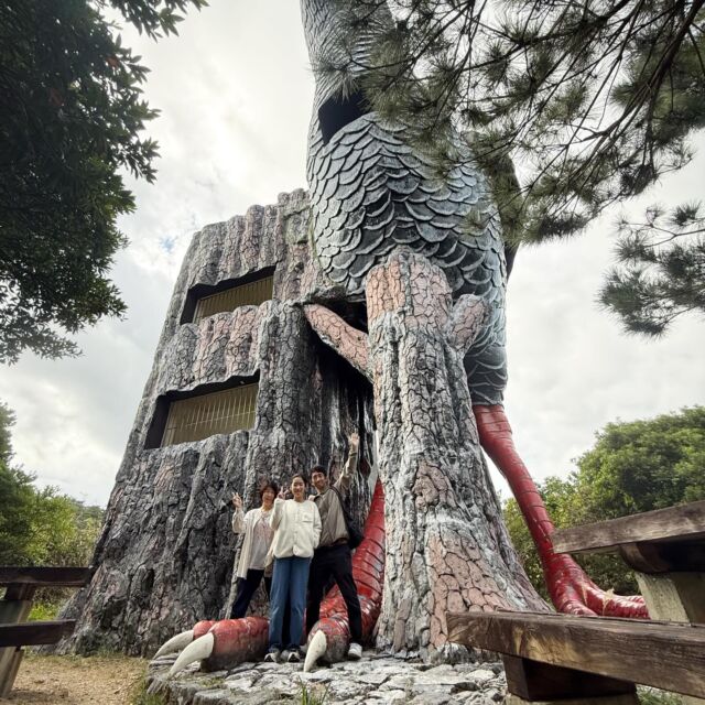 2025年12月27日（土）本部🏨にご宿泊の仲良しファミリーが前日予約で遊びに来てくれました🤗野生のやんばるくいなを探すぞツアー🕵🏻‍♂️🕵️✨✨寒くて、出てきてくれないのかな笑⁉️しかしながら、楽しいツアーだったようで皆様笑顔で戻って来てくれました💖✨様々な北部の楽しいポイントを回られたかな😉また次回ぜひ機会がございましたら遊びにお越し下さいね🌺✨一年中お待ちしております🏝️✨🏝️✨楽しい沖縄旅行を‼️ありがとうございました😆

天然記念物の野性のヤンバルクイナ探し体験‼️沖縄最北端の国頭村を巡る✨✨
https://okuma-navi.net/nature/#nature_1

#ヤンバルクイナ
#やんばるくいな
#ヤンバルクイナ展望台 
#沖縄最北端

🌻やんばる国立公園に指定された沖縄本島最北端の国頭村（くにがみそん）奥間（おくま）を中心に、亜熱帯の森やんばるの大自然の魅力を感じていただけるようなマリンアクティビティ・エコツアー、もの作りなど様々なメニューを用意しています。

🌴ショップインフォメーション
遠方から来られるお客様も安心してご参加頂けます。ウェットスーツ等のレンタルも無料ですので、持ち物は水着と着替えがあれば手ぶらでオッケーです👌
・受付施設　・更衣室　・シャワー（シャンプー、リンス、ボディーソープ完備）　・タオル　・トイレ　・無料駐車場

🐠✨詳しくはトップ画面のホームページからご覧ください❣️また、各ツアーページにある【体験のお申し込みはコチラ】よりご予約をお願い致します✨空き状況等を確認後、ご予約確認メールをお送りしております😊ご不明な点がございましたらお気軽にご連絡ください。

🛒オクマナビ公式オンラインショップ
https://okumanavi-shopping.net/

オクマナビ居酒屋🍻✨
炭焼きBBQ🍖 ✨アグーしゃぶしゃぶ✨もつ鍋✨

釣った魚を食べたい🐟とういうお客様の声にお答えし飲食店をオープン🥳アグーしゃぶしゃぶや牛もつ鍋、沖縄料理も多数ご用意‼️バーベキューガーデンやウッドデッキにてお食事が可能です🍻沖縄ならではの島野菜やお肉等、お客様に喜んでいただけるようなメニューをご提供しております😆新年会、忘年会、イベント、パーティーなどの貸し切りプランも承ります👌
https://okumanavi-cafe.net