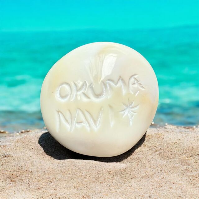 2025年12月30日✨本年も、たくさんの皆様に遊びお越し頂き本当にありがとうございました‼️‼️心より感謝申し上げます💖年末も多くのお客様にご来店頂き、本日、無事全てのツアーを終了致しました✨来年度もスタッフ一同、いっそう皆様に喜んで&楽しんで頂けるよう尽力して参りますので✨✨どうぞよろしくお願い申し上げます😉

年末年始は、下記2日間のみお休みとなります‼️
2025年12月31日（水）〜2026年1月1日（木）

どうぞ良いお年をお迎えください✨✨
ありがとうございました😊

#年末のご挨拶
#挨拶
#良いお年を
#幸あれ

🌻やんばる国立公園に指定された沖縄本島最北端の国頭村（くにがみそん）奥間（おくま）を中心に、亜熱帯の森やんばるの大自然の魅力を感じていただけるようなマリンアクティビティ・エコツアー、もの作りなど様々なメニューを用意しています。

🌴ショップインフォメーション
遠方から来られるお客様も安心してご参加頂けます。ウェットスーツ等のレンタルも無料ですので、持ち物は水着と着替えがあれば手ぶらでオッケーです👌
・受付施設　・更衣室　・シャワー（シャンプー、リンス、ボディーソープ完備）　・タオル　・トイレ　・無料駐車場

🐠✨詳しくはトップ画面のホームページからご覧ください❣️また、各ツアーページにある【体験のお申し込みはコチラ】よりご予約をお願い致します✨空き状況等を確認後、ご予約確認メールをお送りしております😊ご不明な点がございましたらお気軽にご連絡ください。

🛒オクマナビ公式オンラインショップ
https://okumanavi-shopping.net/

オクマナビ居酒屋🍻✨
炭焼きBBQ🍖 ✨アグーしゃぶしゃぶ✨もつ鍋✨

釣った魚を食べたい🐟とういうお客様の声にお答えし飲食店をオープン🥳アグーしゃぶしゃぶや牛もつ鍋、沖縄料理も多数ご用意‼️バーベキューガーデンやウッドデッキにてお食事が可能です🍻沖縄ならではの島野菜やお肉等、お客様に喜んでいただけるようなメニューをご提供しております😆新年会、忘年会、イベント、パーティーなどの貸し切りプランも承ります👌
https://okumanavi-cafe.net