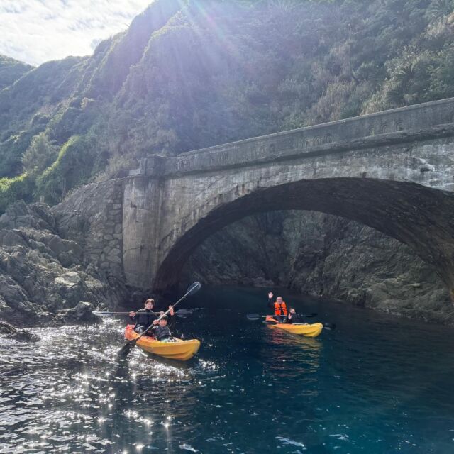 2025年12月30日（火）☀️今年最後のお客様🤗今帰仁🏨にご宿泊の仲良しファミリーが遊びに来てくれました‼️ここ数日、天気も悪く、ツアーを断られてばかりだったとのこと💦無事オクマナビで楽しんでいただく事ができて嬉しいです💖天気も晴れていて、暖かい㊗️✨またぜひ遊びにお越し下さいね😉いつでもお待ちしております🌺✨よいお年を✨✨ありがとうございました‼️

【ファミリー・友達・カップル応援🎉】シーカヤック🚣🏽🚣🏽&シュノーケリング体験コース🐠🐠｜世界自然遺産登録＆やんばる国立公園に指定された沖縄本島北部オクマでシーカヤックとシュノーケリングを満喫‼️※2名様より
https://okuma-navi.net/kayak/#kayak_3

#カヤック
#シーカヤック
#シュノーケル
#シュノーケリング

🌻やんばる国立公園に指定された沖縄本島最北端の国頭村（くにがみそん）奥間（おくま）を中心に、亜熱帯の森やんばるの大自然の魅力を感じていただけるようなマリンアクティビティ・エコツアー、もの作りなど様々なメニューを用意しています。

🌴ショップインフォメーション
遠方から来られるお客様も安心してご参加頂けます。ウェットスーツ等のレンタルも無料ですので、持ち物は水着と着替えがあれば手ぶらでオッケーです👌
・受付施設　・更衣室　・シャワー（シャンプー、リンス、ボディーソープ完備）　・タオル　・トイレ　・無料駐車場

🐠✨詳しくはトップ画面のホームページからご覧ください❣️また、各ツアーページにある【体験のお申し込みはコチラ】よりご予約をお願い致します✨空き状況等を確認後、ご予約確認メールをお送りしております😊ご不明な点がございましたらお気軽にご連絡ください。

🛒オクマナビ公式オンラインショップ
https://okumanavi-shopping.net/

オクマナビ居酒屋🍻✨
炭焼きBBQ🍖 ✨アグーしゃぶしゃぶ✨もつ鍋✨

釣った魚を食べたい🐟とういうお客様の声にお答えし飲食店をオープン🥳アグーしゃぶしゃぶや牛もつ鍋、沖縄料理も多数ご用意‼️バーベキューガーデンやウッドデッキにてお食事が可能です🍻沖縄ならではの島野菜やお肉等、お客様に喜んでいただけるようなメニューをご提供しております😆新年会、忘年会、イベント、パーティーなどの貸し切りプランも承ります👌
https://okumanavi-cafe.net