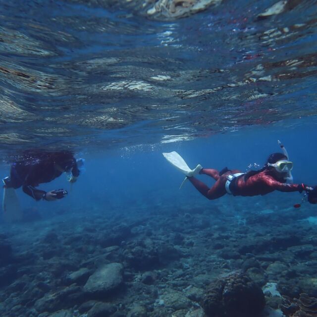 2026年1月7日（水）☀ 長年の友人と関東から沖縄の海の珊瑚🪸の自然確認で博士🎓が来てくれました💖友人は以前、オクマナビでもインストラクターのお手伝いをして頂いた根っからの海を熟知した素晴らしいベテランです笑　めちゃくちゃ寒い中、本当にお疲れ様でした‼️オクマナビでも、風が強い時に遊べるカヤックやサップ、シュノーケリングもできる新しいスポットができました㊗️✨✨お2人とも、またぜひ遊びに来て下さいね😆いつでもお待ちしております✨✨ありがとうございました🌺✨

#ビーチシュノーケリング
#シュノーケリング
#新しいポイント
#ベテラン
#博士

🌻オクマナビ

公式HP
https://okuma-navi.net

やんばる国立公園に指定された沖縄本島最北端の国頭村（くにがみそん）奥間（おくま）を中心に、亜熱帯の森やんばるの大自然の魅力を感じていただけるようなマリンアクティビティ・エコツアー、もの作りなど様々なメニューを用意しています。

🌴ショップインフォメーション
遠方から来られるお客様も安心してご参加頂けます。ウェットスーツ等のレンタルも無料ですので、持ち物は水着と着替えがあれば手ぶらでオッケーです👌
・受付施設　・更衣室　・シャワー（シャンプー、リンス、ボディーソープ完備）　・タオル　・トイレ　・無料駐車場

🐠✨詳しくはトップ画面のホームページからご覧ください❣️また、各ツアーページにある【体験のお申し込みはコチラ】よりご予約をお願い致します✨空き状況等を確認後、ご予約確認メールをお送りしております😊ご不明な点がございましたらお気軽にご連絡ください。

*****

🍺オクマナビ居酒屋
炭焼きBBQ🍖 
アグーしゃぶしゃぶ
牛もつ鍋
沖縄料理
釣り料理

公式HP
https://okumanavi-cafe.net

@okumanavi_cafe.bbq 

釣った魚を食べたいお客様や、アグーしゃぶしゃぶや牛もつ鍋、沖縄料理も多数ご用意‼️BBQガーデンやウッドデッキにてお食事が可能です🍻沖縄ならではの島野菜やお肉等、お客様に喜んでいただけるようなメニューをご提供しております😆社員旅行、新年会、忘年会、イベント、2次会、パーティーなどの貸し切り飲み放題プランも承ります‼️

*****

🛒オクマナビ公式オンラインショップ
https://okumanavi-shopping.net/

Tシャツ、バッグ、夜光貝アクセサリーを販売中✨夜光貝アクセサリーブランドAOVOY （アオヴォイ）が誕生💎皆様のご愛顧の程、宜しくお願い致します🎁

@okumanavi_onlineshop 
@okuma_greenturban 

****