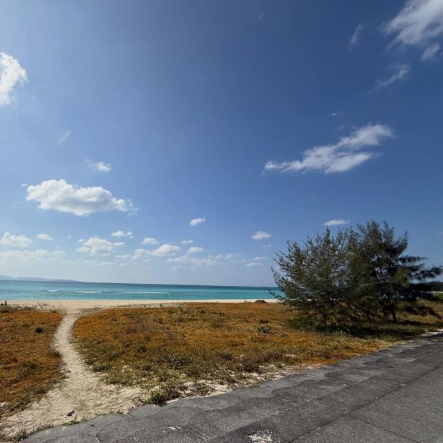 皆様いかがお過ごしですか😊広報担当が冬休み⛄️を頂いておりました為、前回の投稿から久しぶりです✨✨沖縄はあたたかくて、今日は半袖でもオッケーです笑 毎年ながら、2月後半から少しずつお客様も増えて、最近は春休みもゴールデンウィークも飛び越して、夏休みのご予約も増えてまいりました🌺毎年のリピーター様も多く、今年も皆様にお会いできる事、スタッフ一同楽しみにしております‼️それでは、お早めのご予約お待ちしております💖今年も頑張りますので、宜しくお願い致します😆

#沖縄
#ポカポカ
#半袖
#やんばる
#オクマ

🌻オクマナビ

公式HP
https://okuma-navi.net

やんばる国立公園に指定された沖縄本島最北端の国頭村（くにがみそん）奥間（おくま）を中心に、亜熱帯の森やんばるの大自然の魅力を感じていただけるようなマリンアクティビティ・エコツアー、もの作りなど様々なメニューを用意しています。

🌴ショップインフォメーション
遠方から来られるお客様も安心してご参加頂けます。ウェットスーツ等のレンタルも無料ですので、持ち物は水着と着替えがあれば手ぶらでオッケーです👌
・受付施設　・更衣室　・シャワー（シャンプー、リンス、ボディーソープ完備）　・タオル　・トイレ　・無料駐車場

🐠✨詳しくはトップ画面のホームページからご覧ください❣️また、各ツアーページにある【体験のお申し込みはコチラ】よりご予約をお願い致します✨空き状況等を確認後、ご予約確認メールをお送りしております😊ご不明な点がございましたらお気軽にご連絡ください。

*****

🍺オクマナビ居酒屋
炭焼きBBQ🍖 
アグーしゃぶしゃぶ
牛もつ鍋
沖縄料理
釣り料理

公式HP
https://okumanavi-cafe.net

@okumanavi_cafe.bbq 

釣った魚を食べたいお客様や、アグーしゃぶしゃぶや牛もつ鍋、沖縄料理も多数ご用意‼️BBQガーデンやウッドデッキにてお食事が可能です🍻沖縄ならではの島野菜やお肉等、お客様に喜んでいただけるようなメニューをご提供しております😆社員旅行、新年会、忘年会、イベント、2次会、パーティーなどの貸し切り飲み放題プランも承ります‼️

*****

🛒オクマナビ公式オンラインショップ
https://okumanavi-shopping.net/

Tシャツ、バッグ、夜光貝アクセサリーを販売中✨夜光貝アクセサリーブランドAOVOY （アオヴォイ）が誕生💎皆様のご愛顧の程、宜しくお願い致します🎁

@okumanavi_onlineshop 
@okuma_greenturban 

****