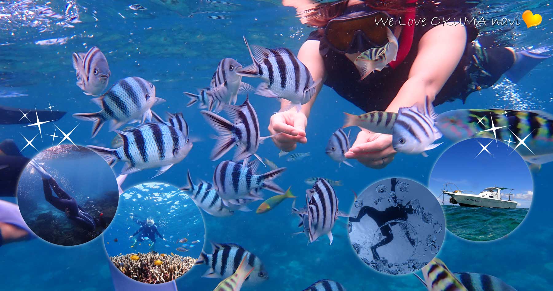 シュノーケリング / SNORKELING